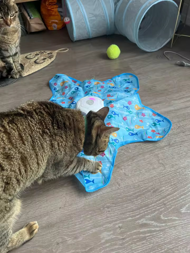 CatMat™ - Interaktywna mata dla kota - polowanie w domu 🐾