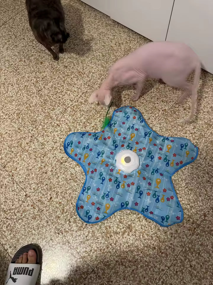 CatMat™ - Interaktywna mata dla kota - polowanie w domu 🐾