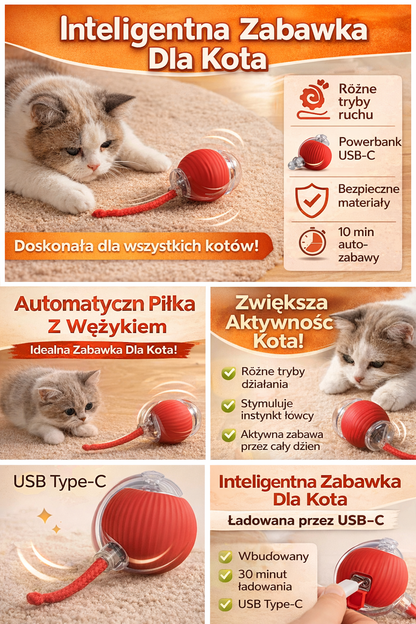 CatBall™ – inteligentna piłka dla kota