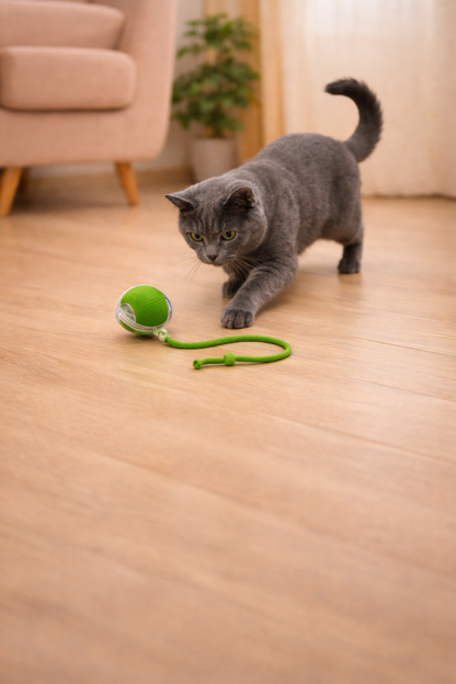 CatBall™ – inteligentna piłka dla kota