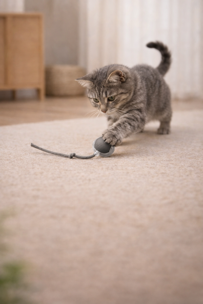 CatBall™ – inteligentna piłka dla kota